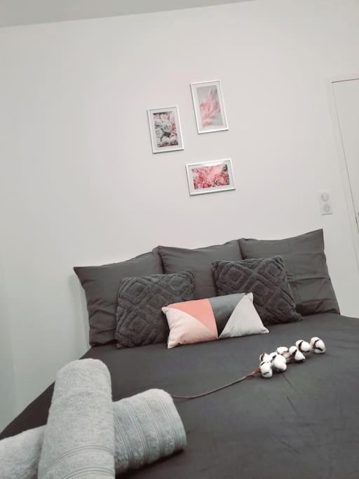 Apartament Le Chaleureux, 5Min Bale,Parking Saint-Louis  Zewnętrze zdjęcie