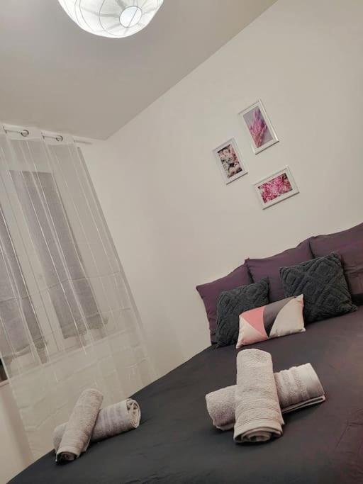 Apartament Le Chaleureux, 5Min Bale,Parking Saint-Louis  Zewnętrze zdjęcie